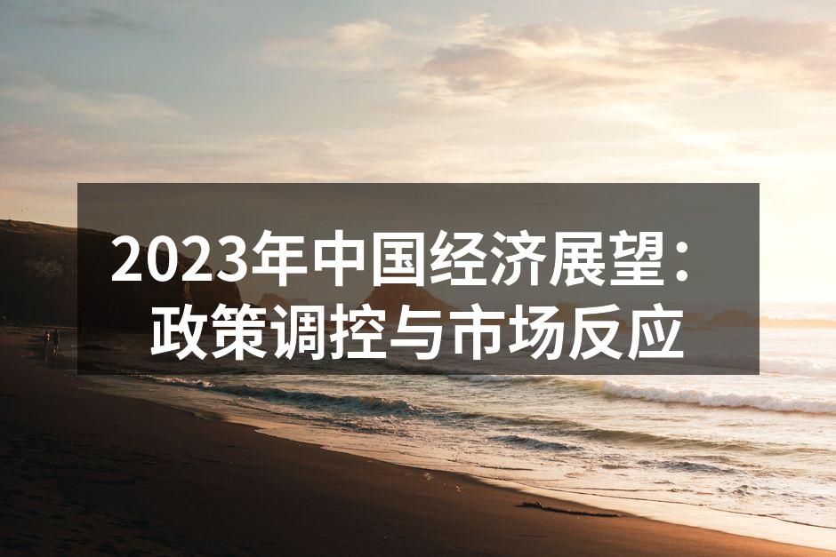 2023年中国经济政策解读