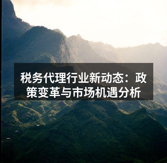 税务代理服务现场