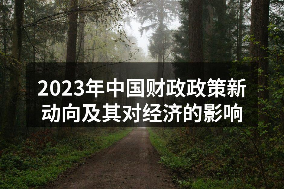 2023年中国财政政策解析