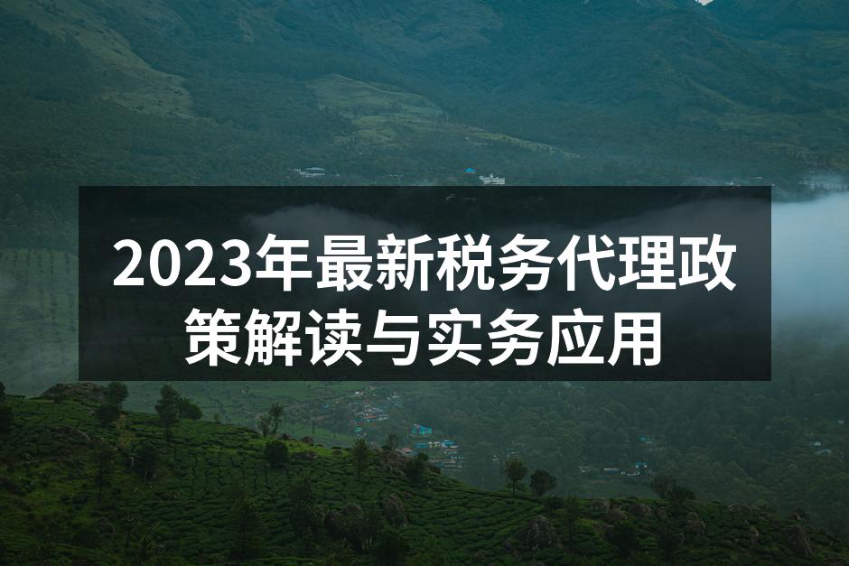 税务代理服务提升企业合规性
