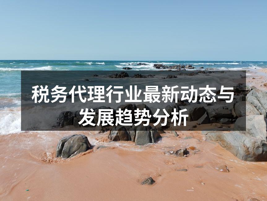 税务代理服务现场