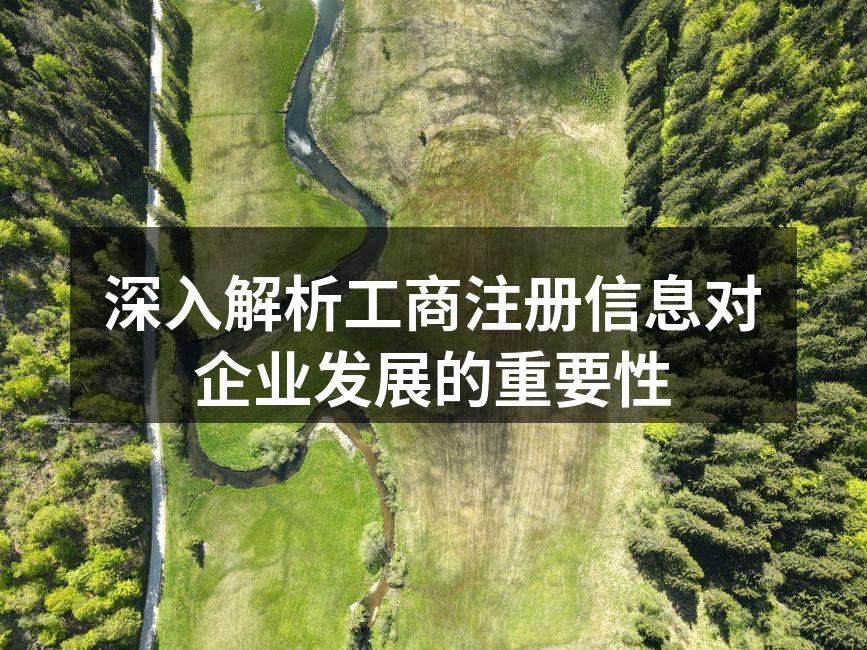 工商注册信息示例图