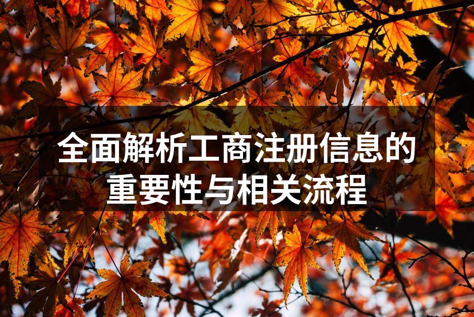 工商注册的流程示意图